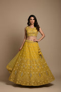 Yellow lehanga choli