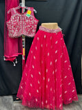 Wedding guest collection: Lehenga Choli set - Kurti Connection USA