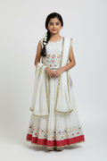 Lehenga Choli set for girls